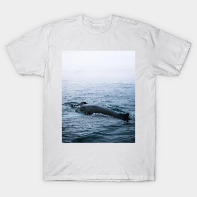 Humpback whale in the minimalist fog - photographing animals T-Shirt by regnumsaturni